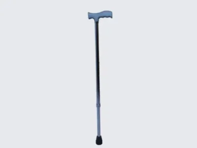 Walking Stick